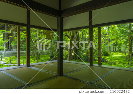 蓮華寺相框庭園的新綠（京都市左京區上河野） 116922482