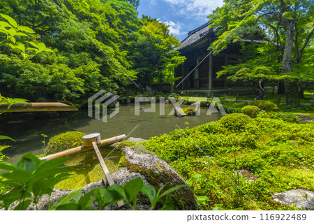 蓮華寺庭園及本堂的綠意盎然（京都市左京區上河野） 116922489