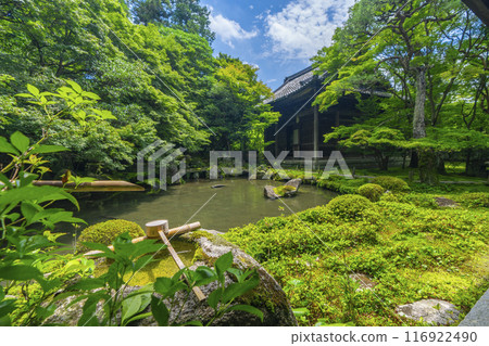 蓮華寺庭園及本堂的綠意盎然（京都市左京區上河野） 116922490