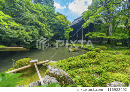 蓮華寺庭園及本堂的綠意盎然（京都市左京區上河野） 116922492