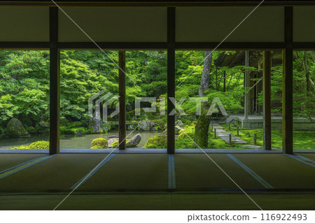 蓮華寺相框庭園的新綠(京都市左京區上河野) 蓮華寺相框庭園的新綠(京都市左京區上河野) 116922493
