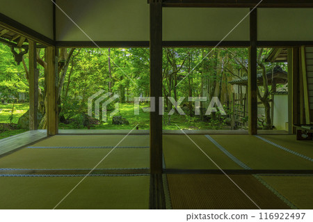 蓮華寺相框庭園的新綠（京都市左京區上河野） 116922497