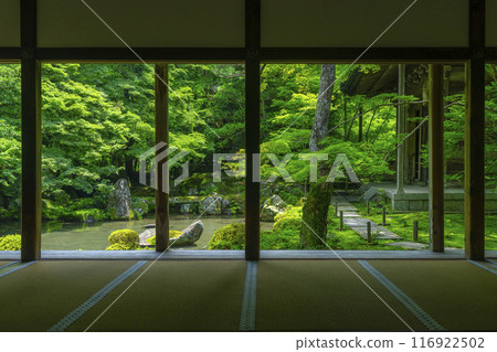 蓮華寺相框庭園的新綠（京都市左京區上河野） 116922502