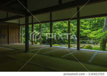 蓮華寺相框庭園的新綠（京都市左京區上河野） 116922503