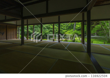 蓮華寺相框庭園的新綠（京都市左京區上河野） 116922504