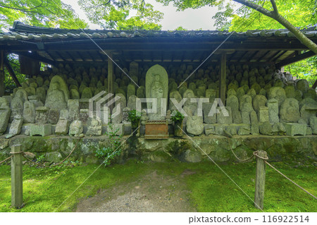 Fresh greenery at Rengeji Temple: Stone Buddha Statues (Kamitakano, Sakyo Ward, Kyoto City) 116922514