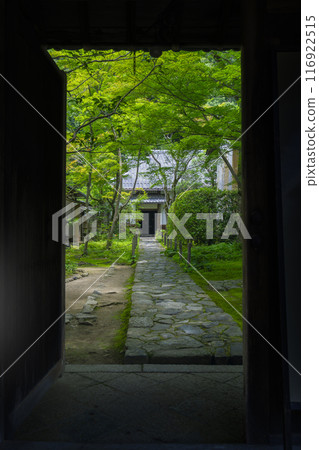 從山門眺望蓮華寺的新綠(京都市左京區上河野) 從山門眺望蓮華寺的新綠(京都市左京區上河野) 116922515