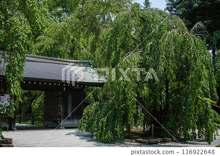 秋田縣角館市 Kabazaiku 傳統博物館入口 秋田縣角館市 Kabazaiku 傳統博物館入口 116922648