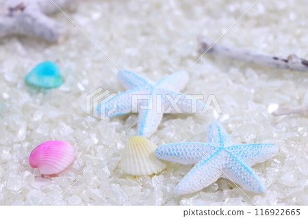 Summer seaside image background: white sand, starfish and shells 116922665