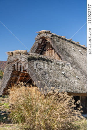Old thatched roof house and silver grass 116922777