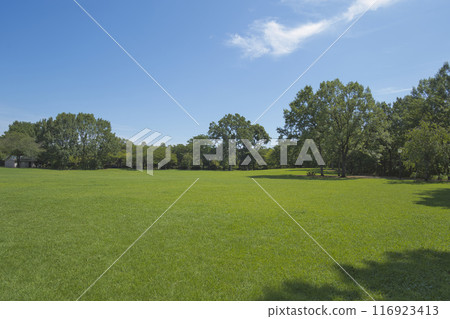 夏季公園 夏季公園 116923413