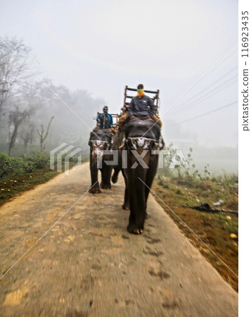 奇旺公園 16 116923435