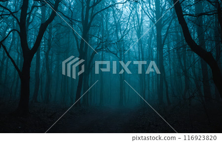 Haunting Blue Haze in Dense Forest, Chilling Trail Through Misty Woods, Gloomy Scary Nature Backdrop for Halloween, Sinister Tree Silhouettes in Fog, Enigmatic Wilderness Atmosphere, Gloomy Haunting Blue Haze in Dense Forest, Chilling Trail Through Misty Woods, Gloomy Scary Nature Backdrop for Halloween, Sinister Tree Silhouettes in Fog, Enigmatic Wilderness Atmosphere, Gloomy 116923820