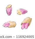 A gentle watercolor illustration of baked sweet potato 116924005
