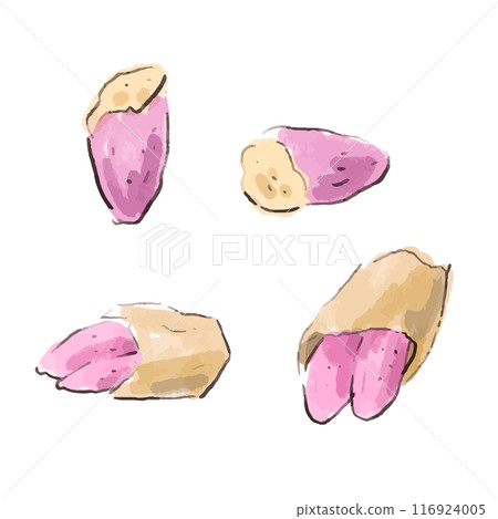 烤地瓜的柔和水彩風格插畫 116924005
