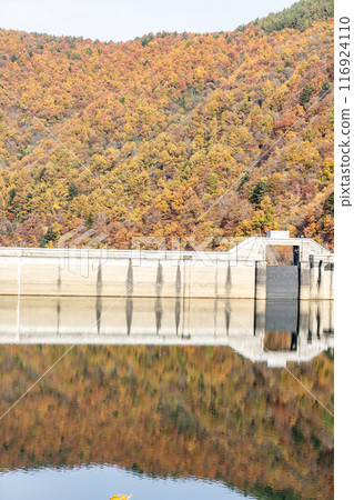 Autumn leaves at Akigami Dam Autumn leaves at Akigami Dam 116924110