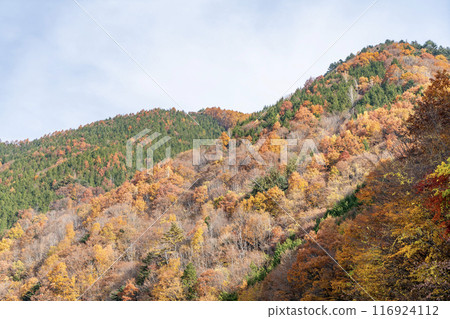 A mountain that turned red leaves A mountain that turned red leaves 116924112