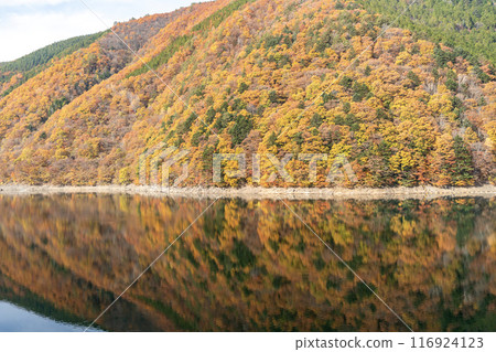 秋上水壩水庫秋葉 116924123
