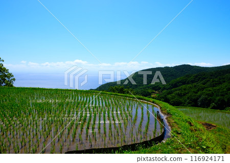 岩久保 116924171