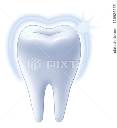 健康的牙齒 116924265