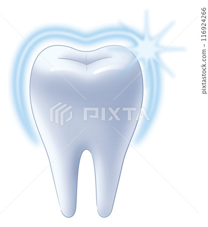 健康的牙齒 116924266