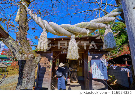 Wagogongen Shrine near the summit station of the ropeway at Shosenkyo in Kofu, Yamanashi Prefecture in autumn 116924325