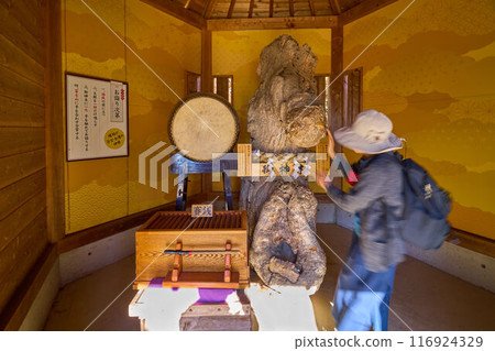 秋天的山梨縣甲府市昇仙峽索道山頂站附近的和合權現神社 116924329