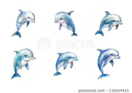 Dolphin Collection Bundle Set Isolated on a Transparent Background 116924425