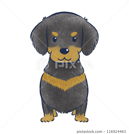 站在前面的迷你臘腸犬的彩色鉛筆手繪插圖 站在前面的迷你臘腸犬的彩色鉛筆手繪插圖 116924463