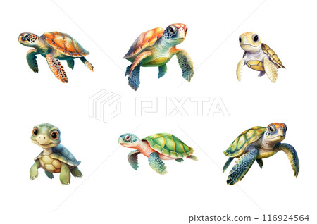 Turtle Collection Bundle Set Isolated on a Transparent Background 116924564