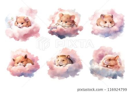 Sleepy Hamster Couple Collection Bundle Set Isolated on a Transparent Background 116924799