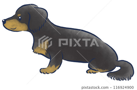 坐著的迷你臘腸犬的風景水彩手繪插圖 坐著的迷你臘腸犬的風景水彩手繪插圖 116924900
