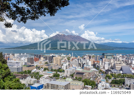 從城山觀景台看到的櫻島和鹿兒島市 116925049