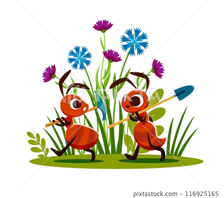 Cartoon ant builders with shovels. Vector children story scene with two playful ant characters with expressive faces, carrying spades for working together in a garden filled with flowers Cartoon ant builders with shovels. Vector children story scene with two playful ant characters with expressive faces, carrying spades for working together in a garden filled with flowers 116925165
