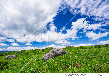夏天的藍天和高原,大石頭 夏天的藍天和高原,大石頭 116925268
