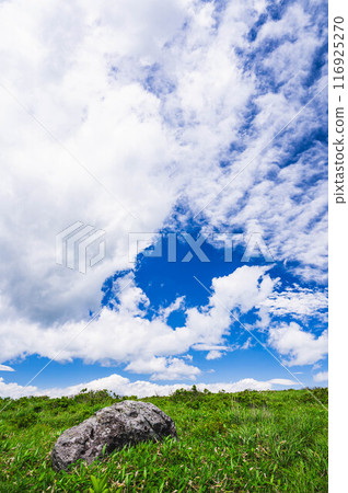 夏天的藍天和高原，大石頭 116925270