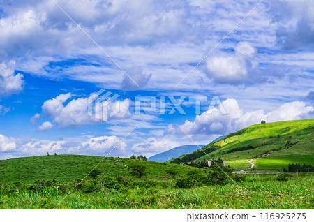 夏季霧峰、車山高原 116925275