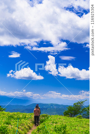 霧峰草原徒步 116925304