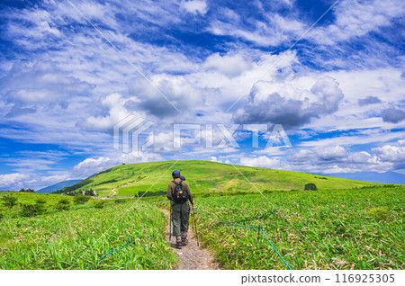 高原徒步 車山高原 116925305