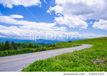 穿過車山高原的金星線 116925307