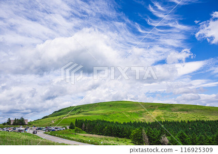 夏季的車山高原和停車場 116925309
