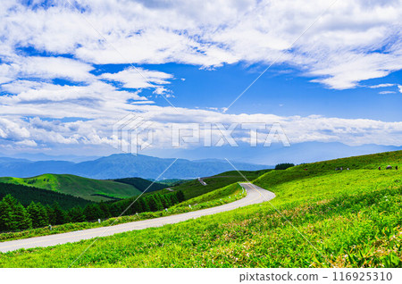 金星線穿過高原地區 116925310