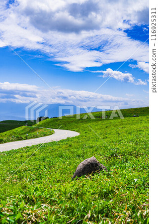 金星線穿過高原地區 116925311