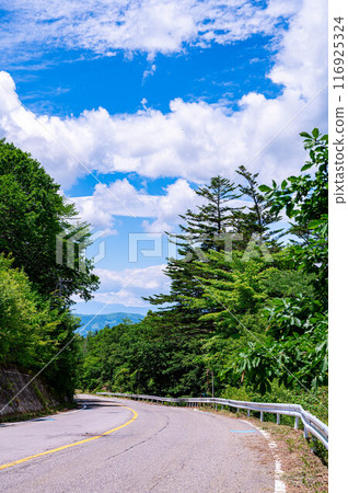 Scenery on the way to Kirigamine 116925324