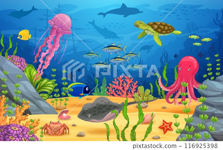 Underwater game landscape, cartoon sea animals. Turtle, jellyfish octopus and stingray, crab and fishes between algae seaweeds. Vector coral reefs and vibrant marine life level, interface background 116925398