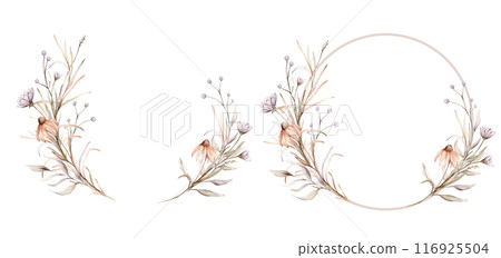 Wreath of light violet and peach flowers. Watercolor hand painting illustration on isolate. Circlet of flowers with echinacea and herbs. Botanical floral autumn composition pastel color. 116925504