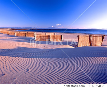 世界文化遺產富士山90公里的壯麗景色（清晨從禦前崎海灘） 116925835