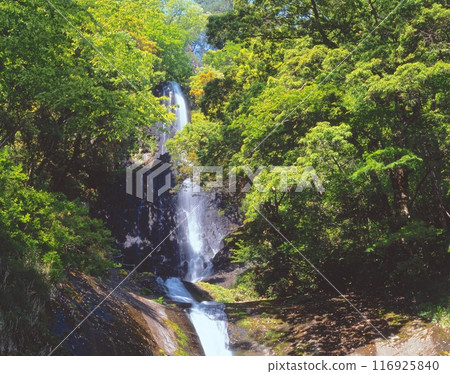 New green deepening "One hundred Japanese waterfalls" Saruto Waterfall "Iceonoyama Toyama Nagiyama National Monument Park" New green deepening "One hundred Japanese waterfalls" Saruto Waterfall "Iceonoyama Toyama Nagiyama National Monument Park" 116925840