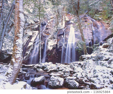 金引瀑布的雪景 「日本瀑布百選之一」 京都府宮津市 116925864