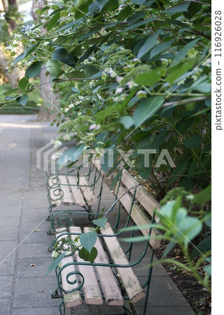 公園長椅 @ 都立小金井公園 公園長椅 @ 都立小金井公園 116926028